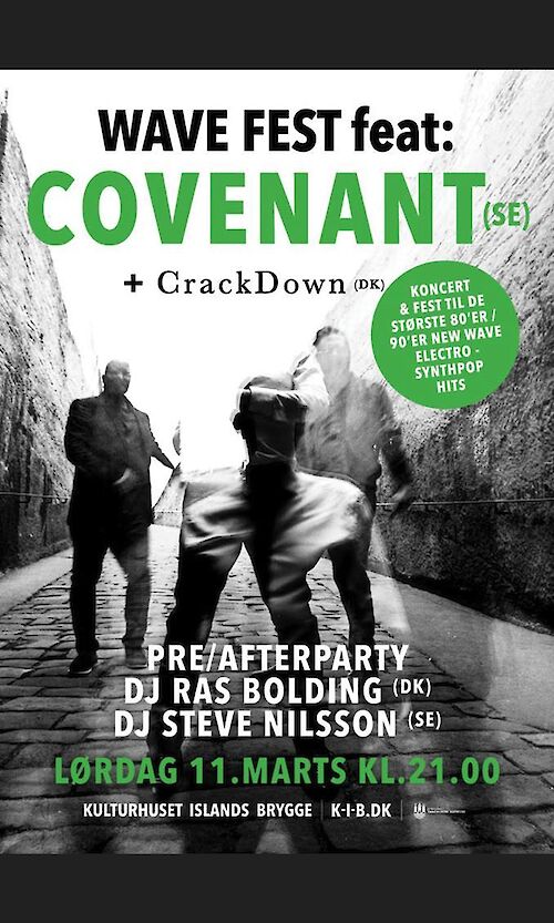 Wave Fest Vol. 4 (DK) Flyer